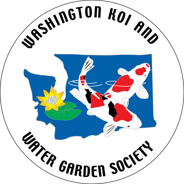 Washington Koi & Water Garden Society – It's not just about the fish